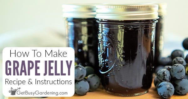 Party Pleaser: Quick Instant Pot Meatballs with Grape Jelly Sauce